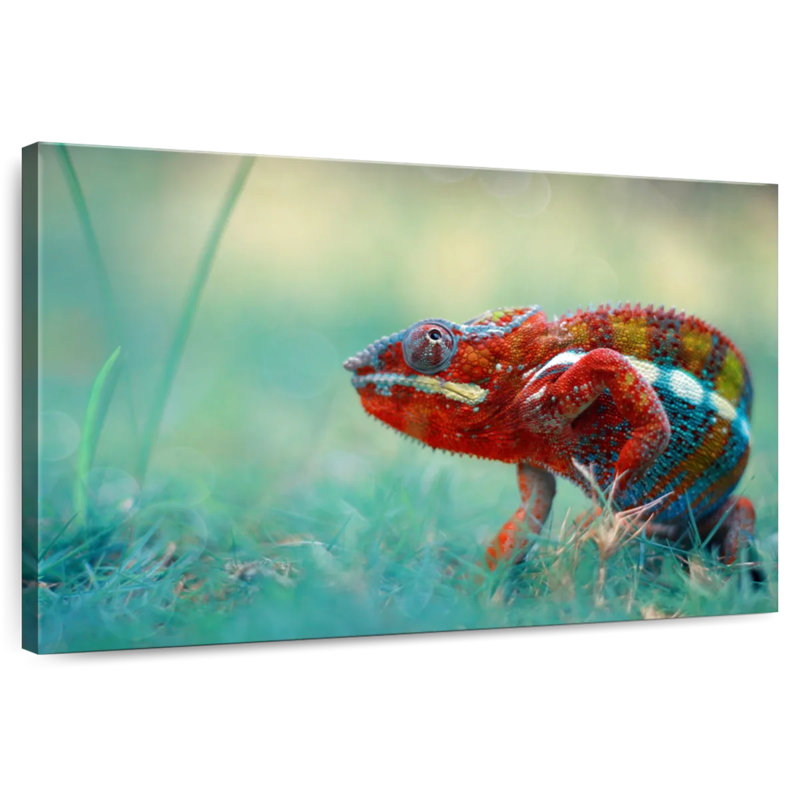 Brampt Vibrant Chameleon, 16" H x 24" W