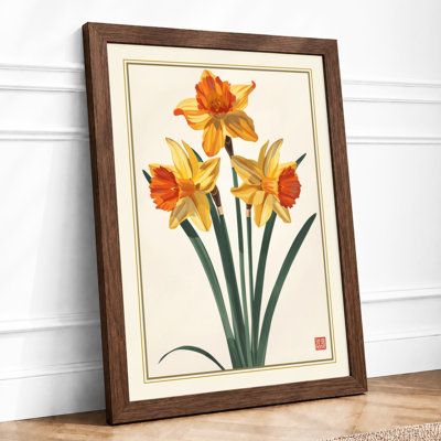 Daffodil Study Botanical - Framed Print