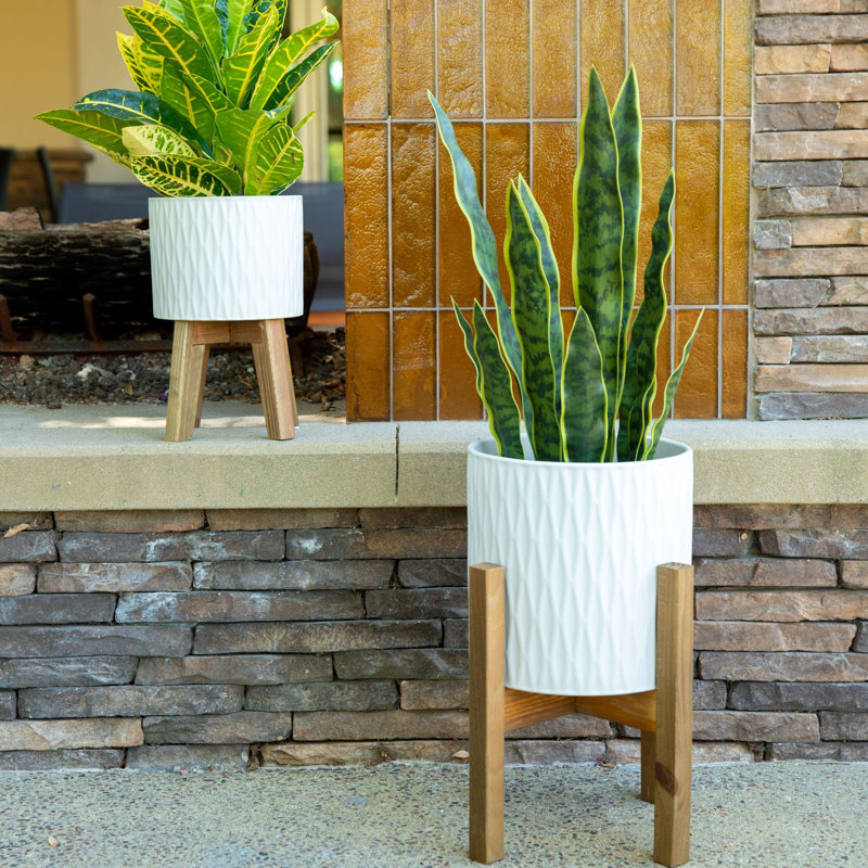 Wadlington Ceramic Pot Planter