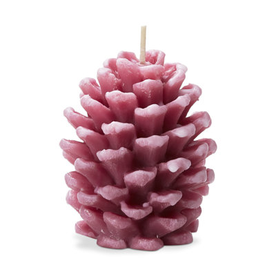 Frosted Pine Cone Candle 