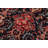 Silke Wool Oriental Rug
