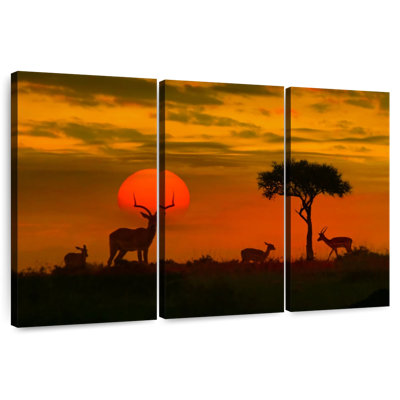 Coucher de soleil africain Alvord