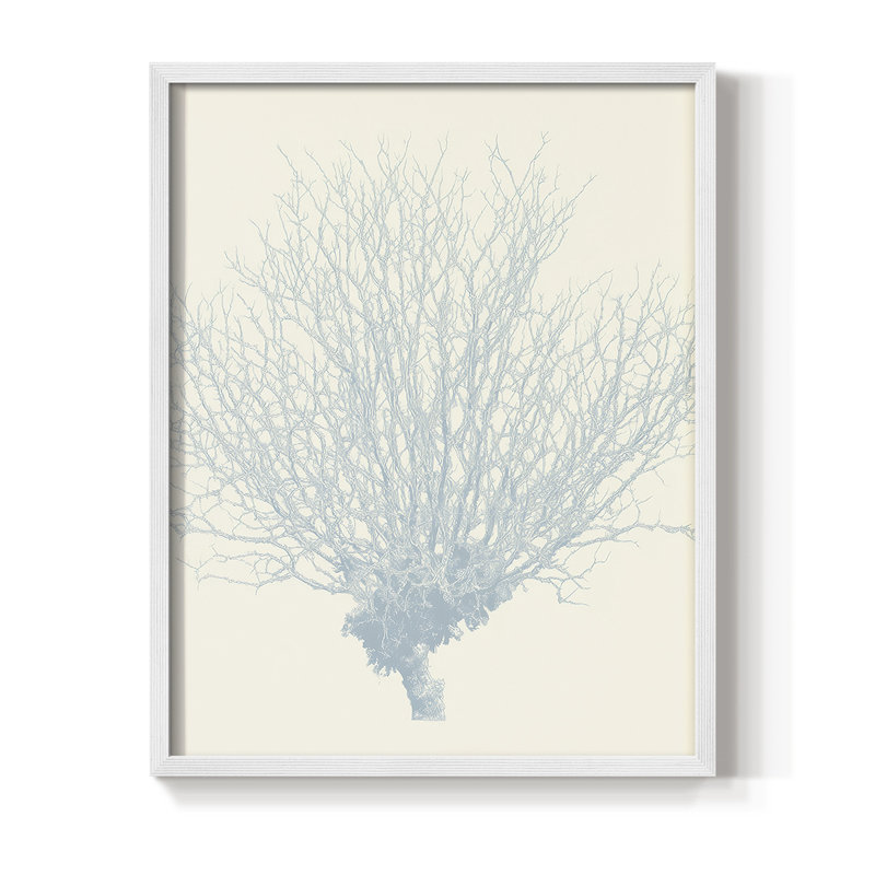 NAUTICAL Series X, reproduction encadrée - bois massif, H 21 po x l 17 po, Blanc