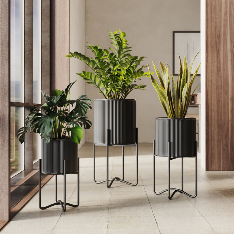 Laurentiu Everett Pot with Ambrose Base - Set of 3, Black