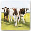 Grazers ii», reproduction d’art-1201382260-1202093522