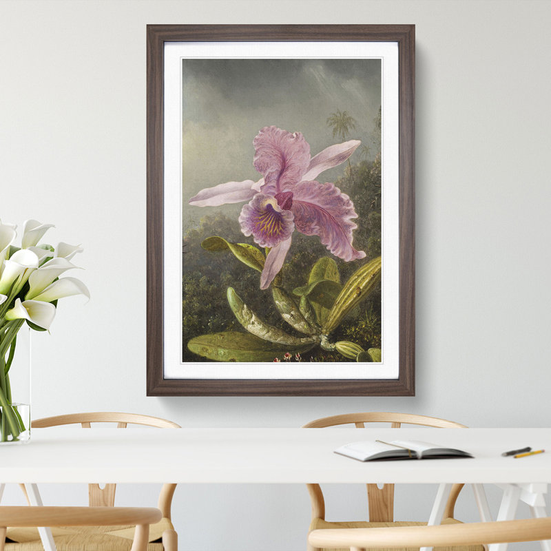 Pink Orchids by Martin Johnson Heade - Framed Print, 36cm H x 27cm W x 2cm D, Walnut Framed