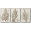 Sépia, plantes exotiques I, ensemble de 3 toiles encadrées-97706326-97706327
