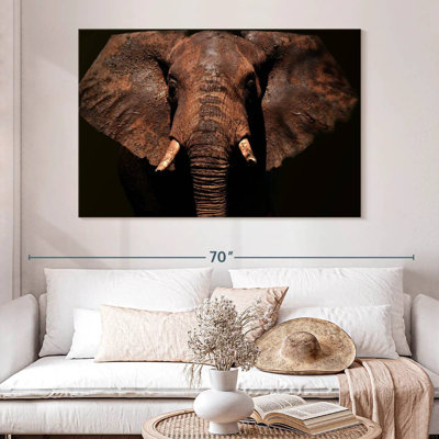 Brampt Aged Elephant
