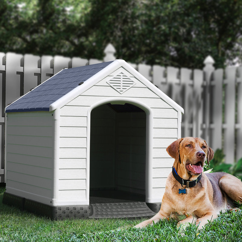 Niche pour chien en plastique Aunyae, Bleu, 37.4" H x 35" W x 38.9" D