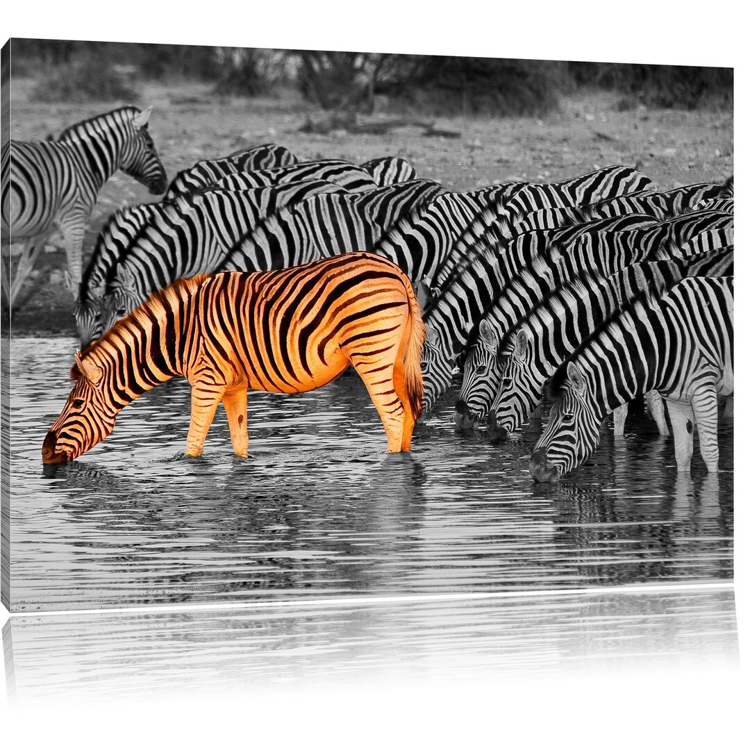 Leinwandbild Zebras an der Wasserstelle