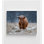 «Snowy Highland Cow» par Richard Guijt, impression de photographie de vache énorme, idée de cadeau de fermier, art de vache de montagne rustique rustique, impression de paysage enneigé