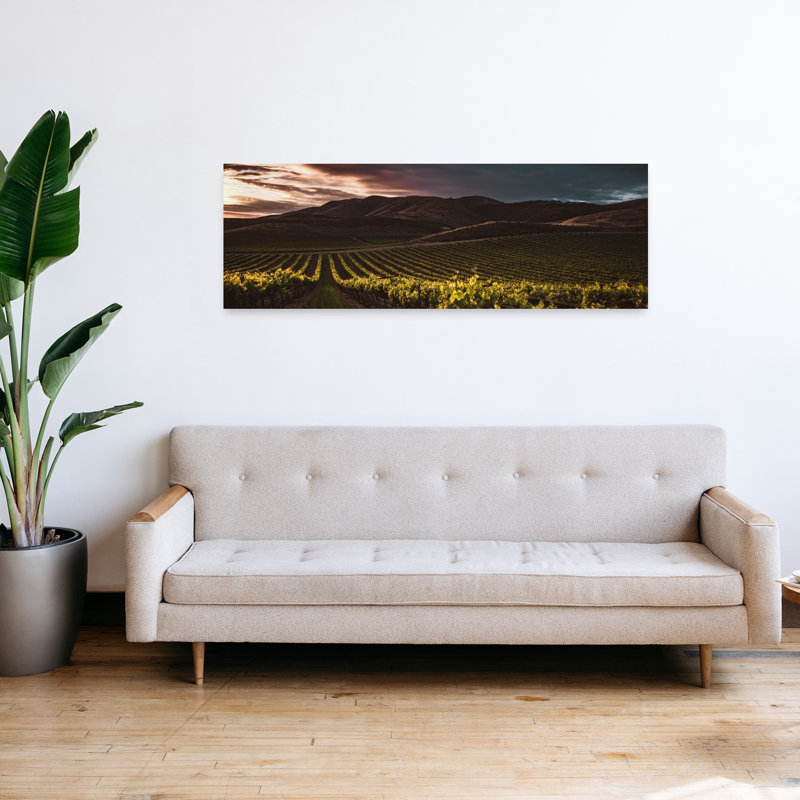 Vineyard Sunset Glow by Tim Mossholder - Wrapped Canvas Panoramic Print, 40.64 cm H x 121.92 cm W