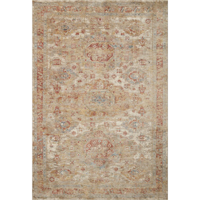 Brincken Oriental Indoor Rug