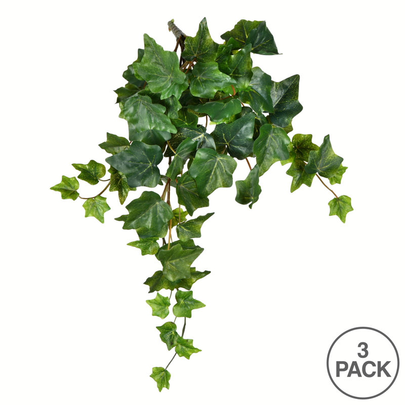Ivy Arrangement