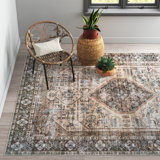 Ecker Medallion Machine Washable Area Rug for Living Room Bedroom Dining Room Kitchen