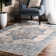 Alieda Oriental Indoor Rug