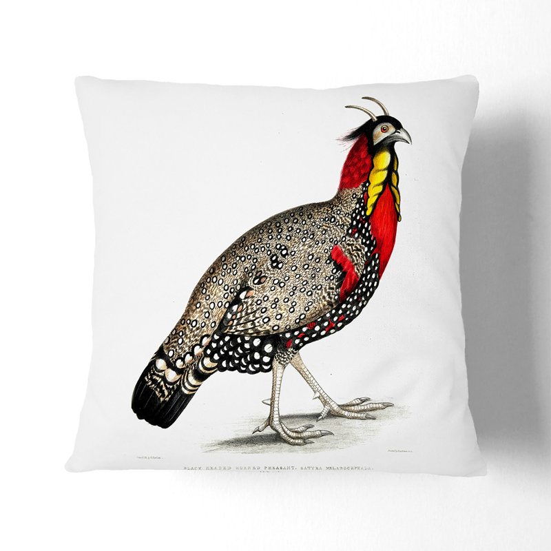 Square Throw Cushion, 40cm H x 40cm W x 15cm D, White