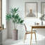 66 plantes-97700178
