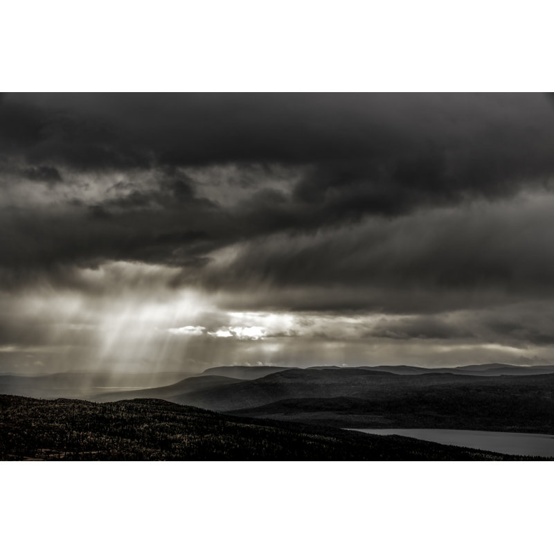 «Moody Woodland» par Woutervandenbroek - photographie sur toile tendue, H 8 po x l 12 po