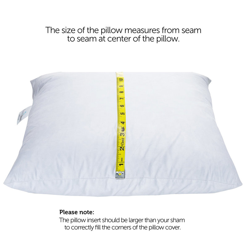 Modern Plush Feather-Filled Cotton Throw Pillow, 16" Square