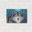 "Loup gris II" par Carolee Vitaletti-304257473