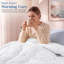 Couette Utopia Bedding, format simple, garniture de couette toutes saisons, couette en duvet synthétique piquée en caissons avec attaches aux coins, lavable à la machine (blanche)-136115347-136115346