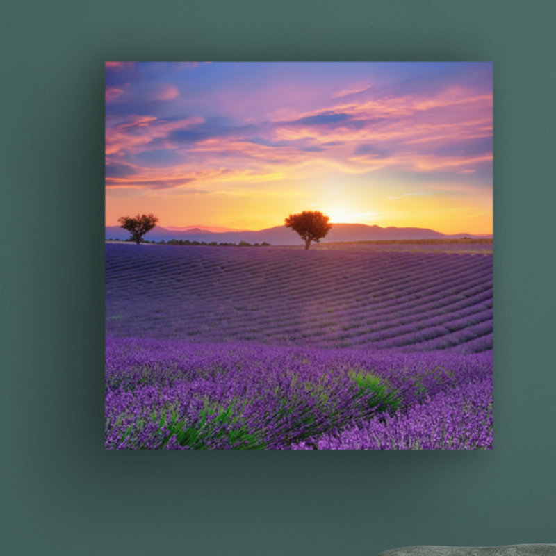 Lavender Sky Sunset par Cora Niele - photographie sur toile tendue, H 14 po x l 14 po x P 2 po