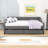 Full Upholstered Daybed with Two Drawers-1567049693
