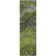 Premium Machine Washable Cerrito AMF599 Green Rug