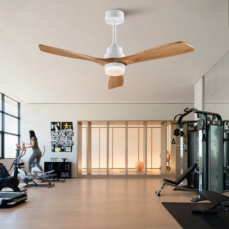 Ventilateur de plafond moderne de 52 pouces avec moteur à courant continu réversible à télécommande 3 lumières à DEL 3 couleurs à intensité variable