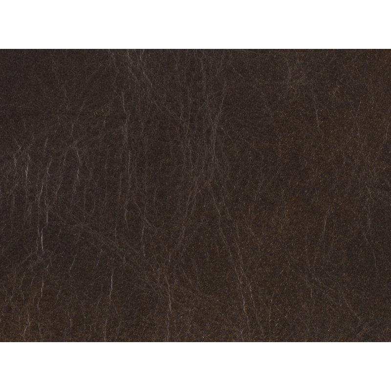 CC Potter Club Chair, Brown, Brown, Foam/Polyester