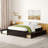 Bed With Twin Trundle And Two Drawers-976543019