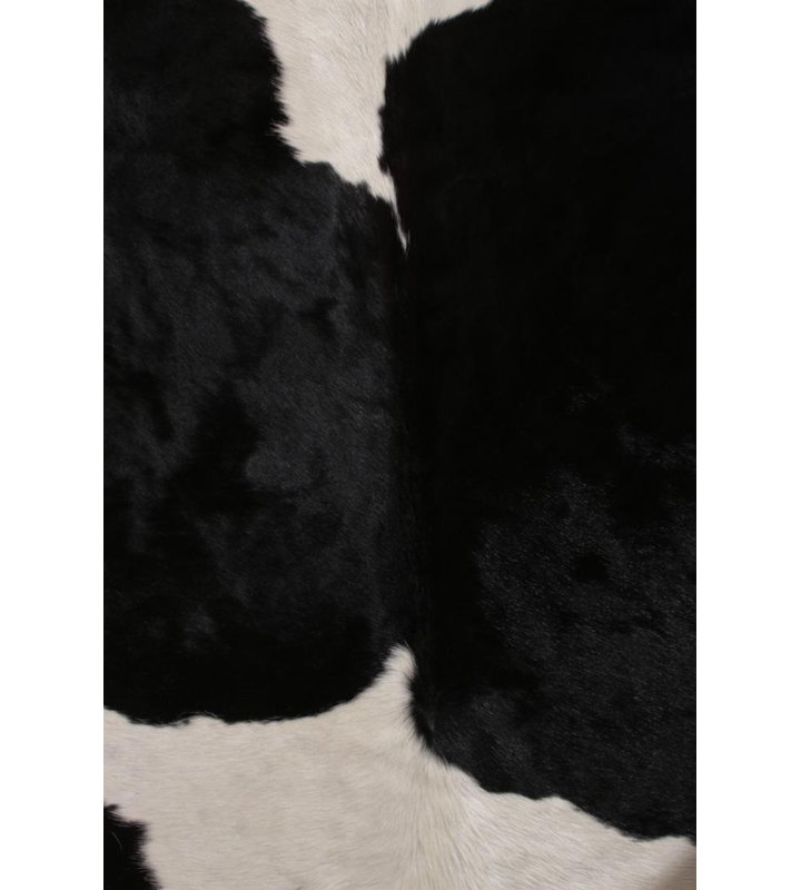 One-of-a-Kind 82 Hand Knotted Area Rug