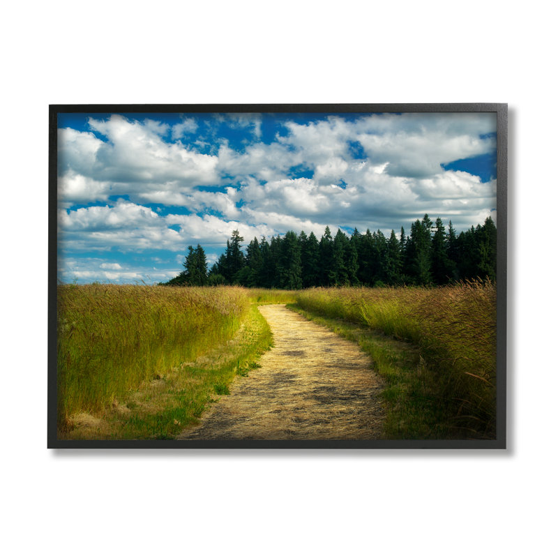 " Cloudy Rural Path Grassland " by Dennis Frates, 24" H x 30" W x 1.5" D, Midnight Black Framed Giclee