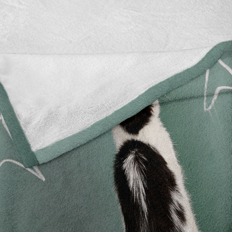 Ambesonne Kitten Fleece Throw Blanket Arithmetic Fish Problem 60"x80" Multicolor