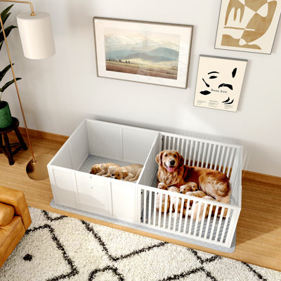 Boîte de mise bas pour chien Pawhut