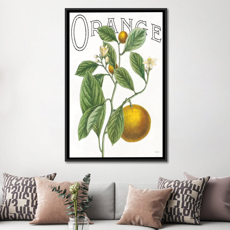 « classic agrumes vi », reproduction d’impression sur toile tendue, H 26 po x l 18 po x P 1,5 po, Toile avec cadre noir