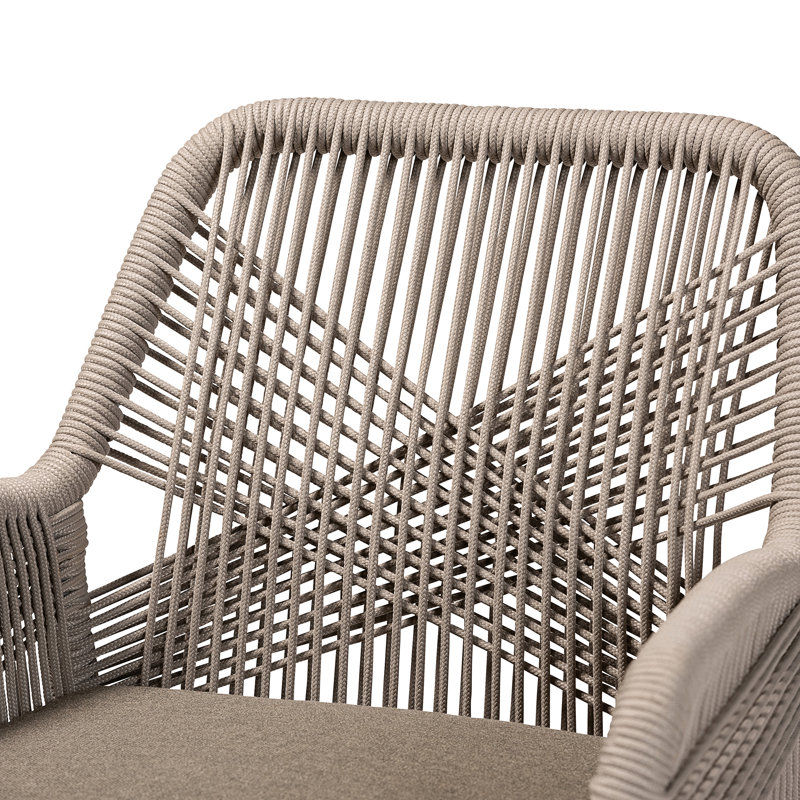 Dining Chair(Only Dining Chairs)