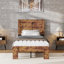 Structure de lit en bois Gambrill, silencieuse, sans sommier, grand rangement sous le lit-1830652779-1873637624