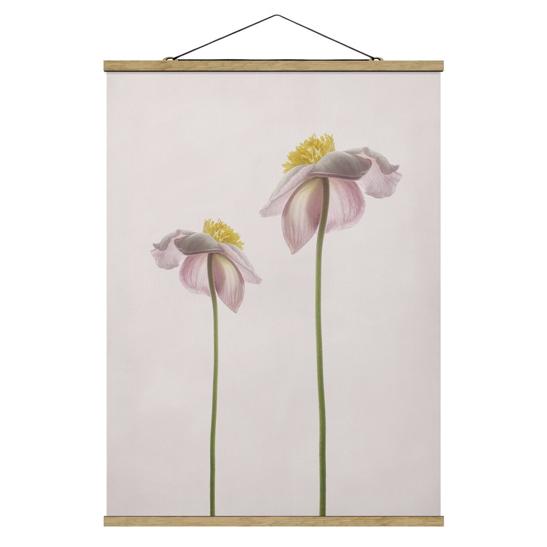 Grafikdruck Pink Anemone Flowers