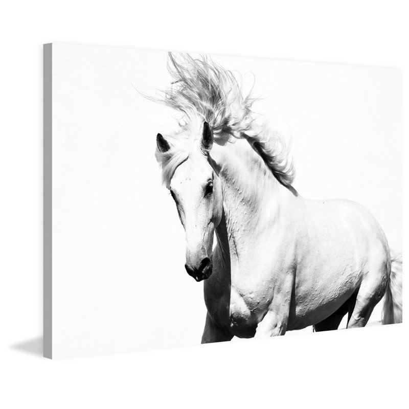 « glorious stallion », reproduction d’art sur toile tendue, H 30 po x l 45 po x P 1,5 po
