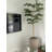 Artificial Shady Lady Tree-104444342