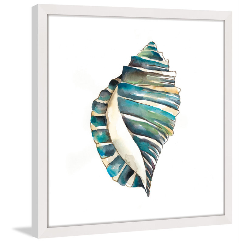 Aquarelle Shells I Coastal Canvas Print in White Frame