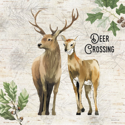 " Deer Crossing "