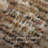 Amber Lewis x Loloi Molly Tobacco / Sage Area Rug-109413627
