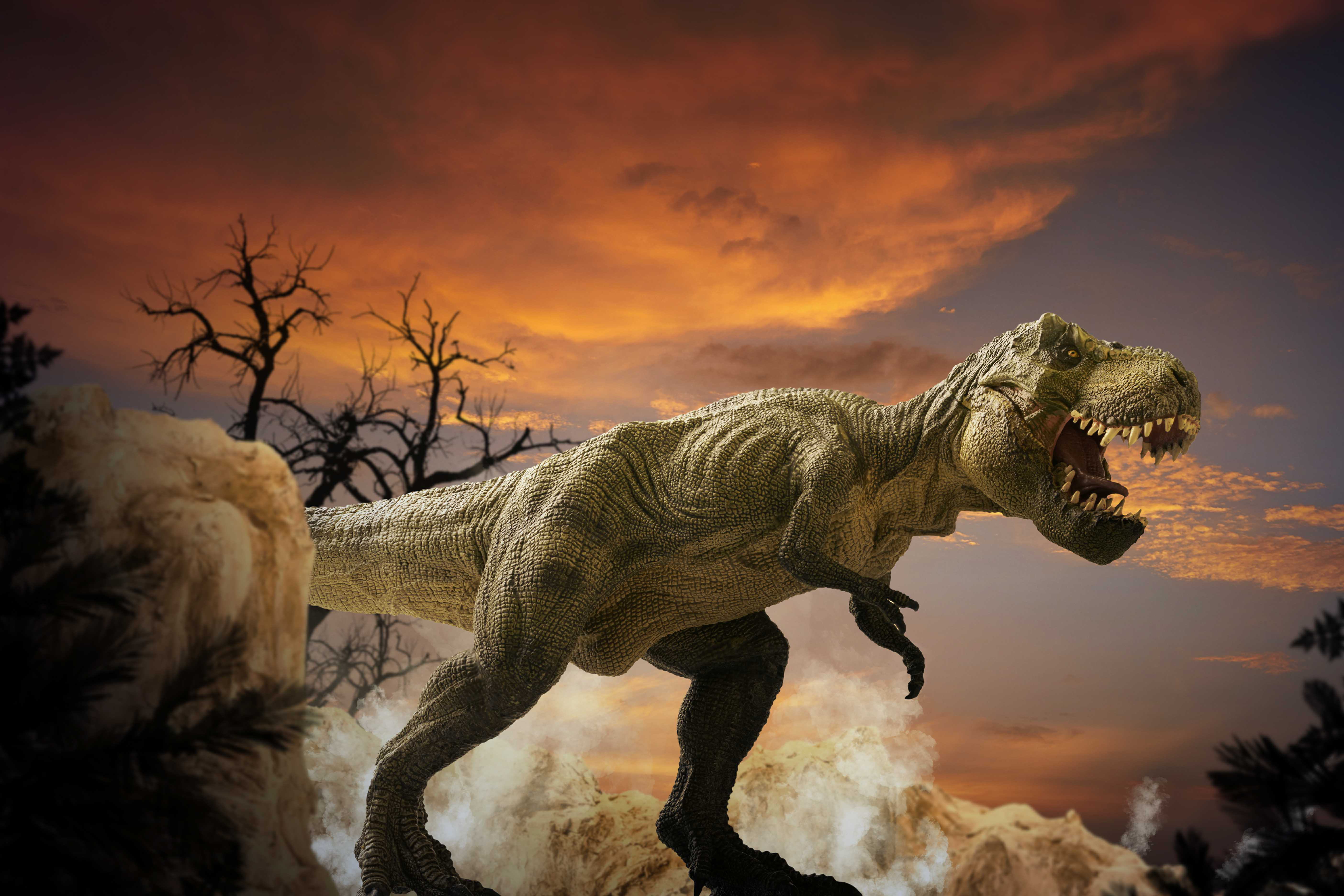 Trinx Dinosaur - Wrapped Canvas Photograph | Wayfair