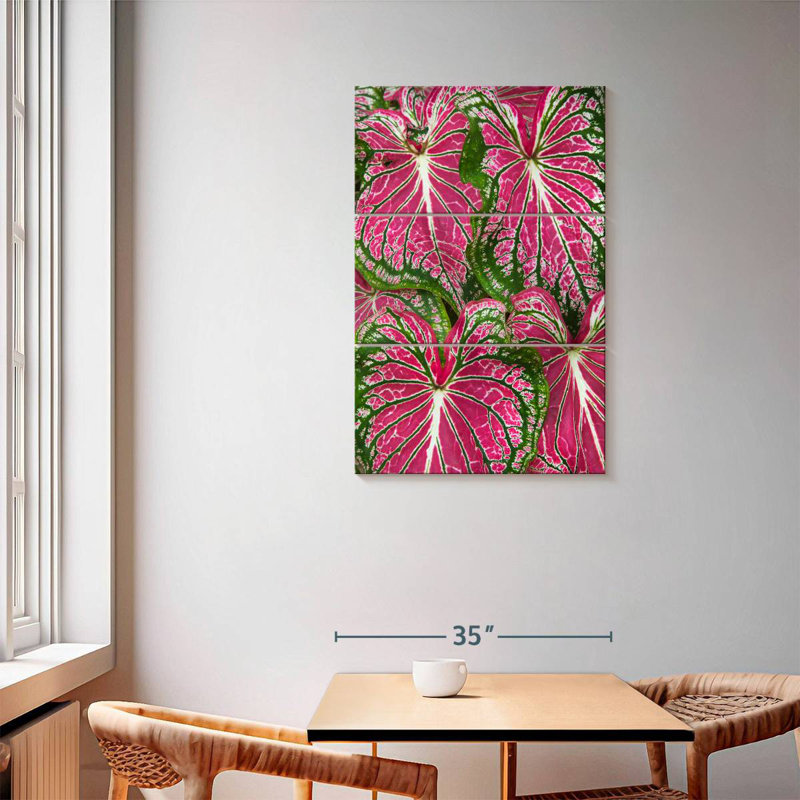 Feuilles Harnek Caladium, H 57 po x l 36 po