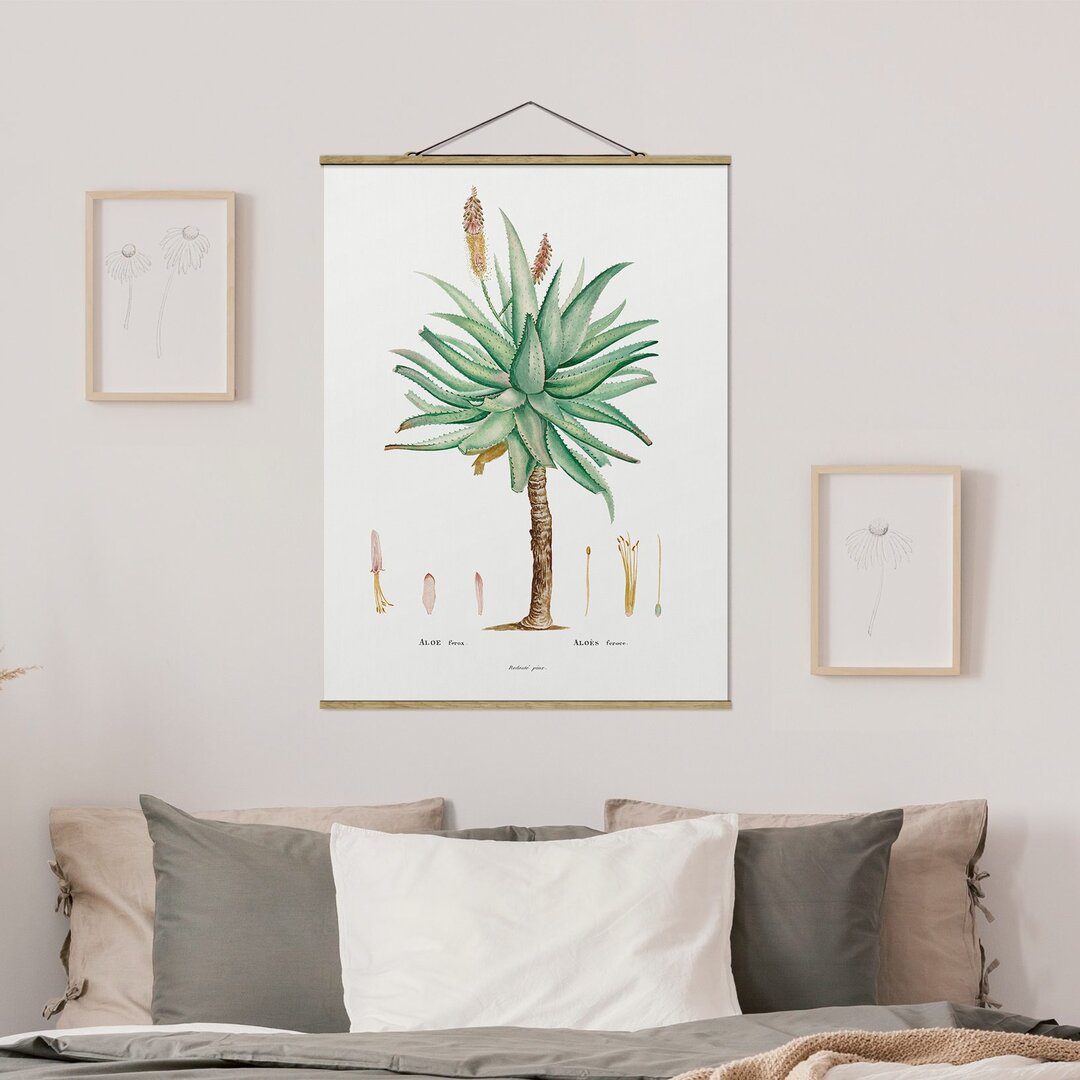 Wandbild Botanik Vintage Illustration Aloe