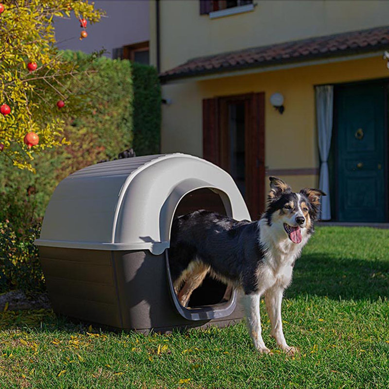 Pet Crate, 80cm H x 111.6cm W x 80cm D