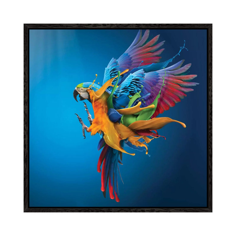 Flying Colours by Sulaiman Almawash - Gallery-Wrapped Canvas Giclée on Canvas, 45.72 cm H x 45.72 cm W, Black Floater Frame